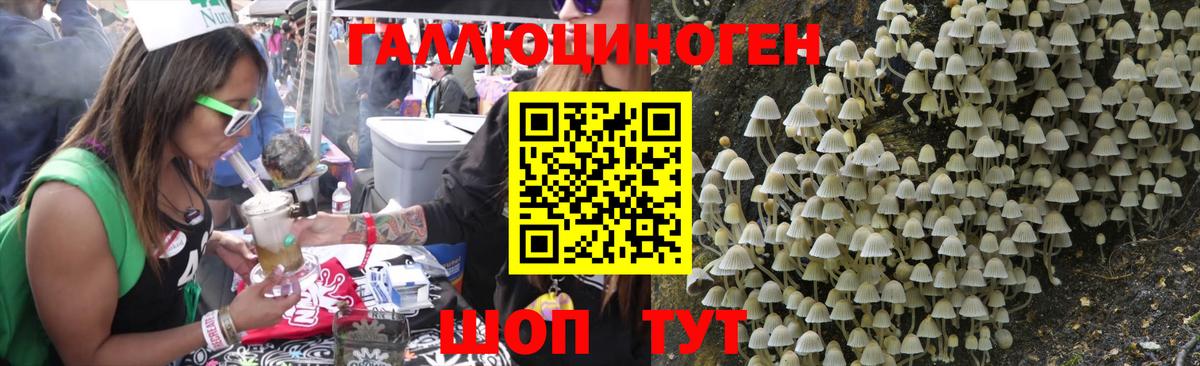 Галлюциногенные грибы Magic Shrooms Большой Камень