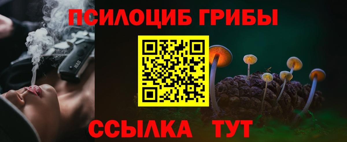 Большой Камень  наркошоп  Вход с VPN  Галлюциногенные грибы MAGIC MUSHROOMS 